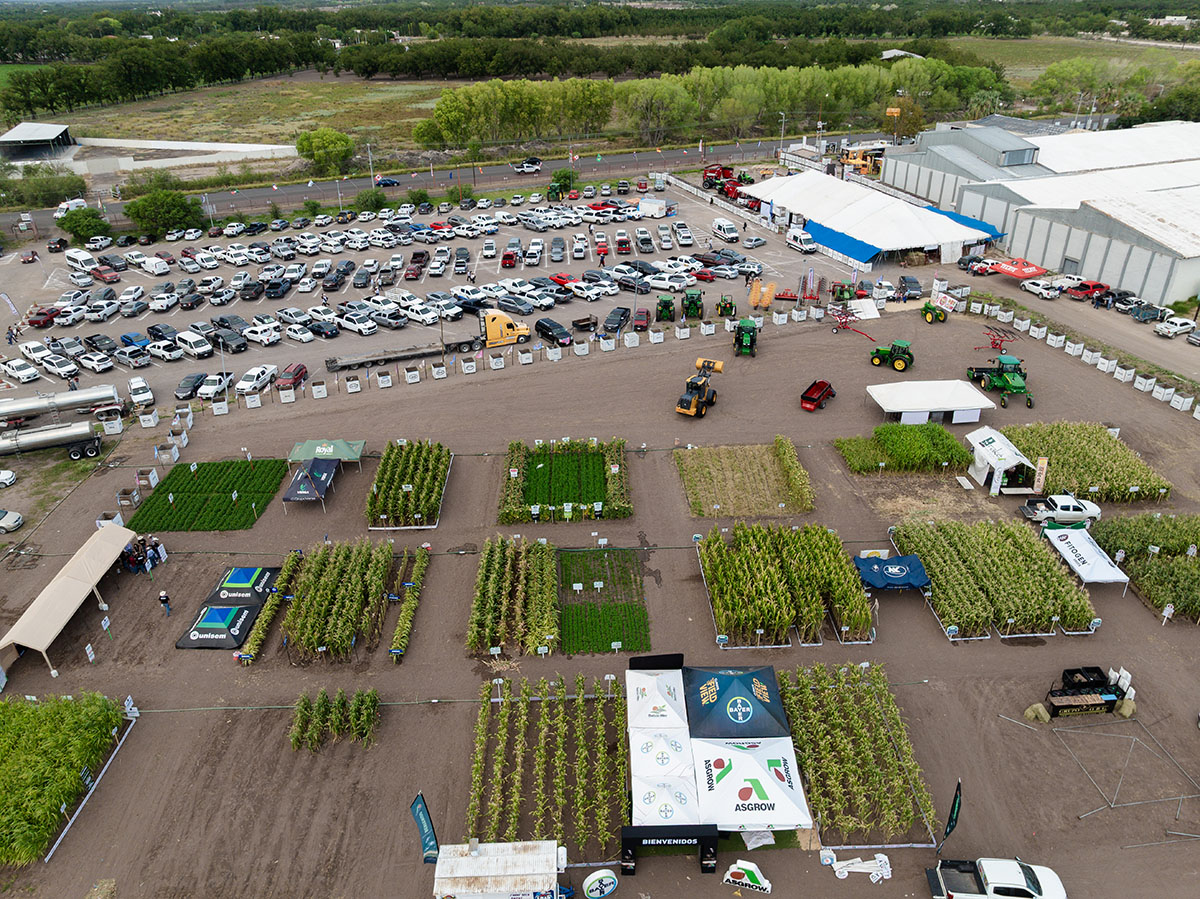 Exhibición de Ganado